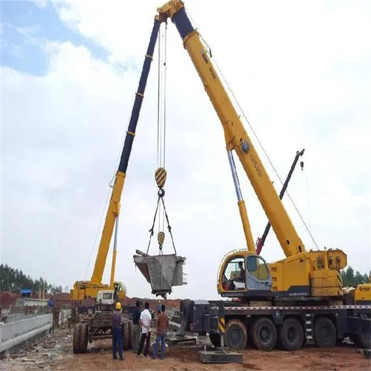 崖城镇小型吊机出租电话|厂房设备吊装方案|24小时服务覆盖